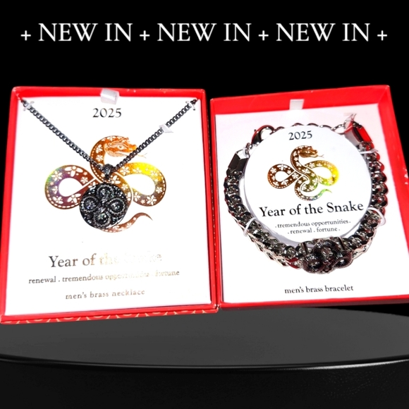 NIB/NWOT Year of the Snake Men's Jewelry Bundle: Necklace & Bracelet Set - Picture 1 of 5